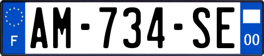 AM-734-SE