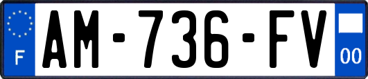 AM-736-FV