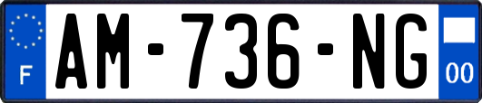 AM-736-NG