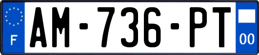 AM-736-PT