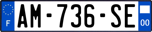 AM-736-SE