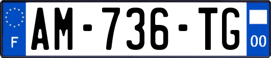 AM-736-TG