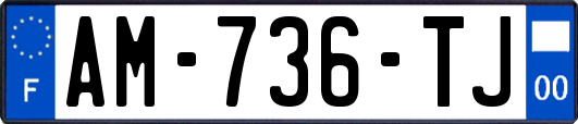 AM-736-TJ