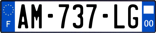 AM-737-LG