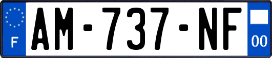 AM-737-NF