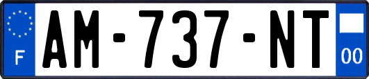 AM-737-NT