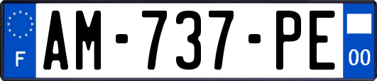AM-737-PE