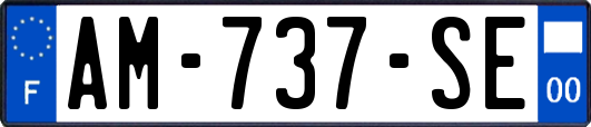 AM-737-SE