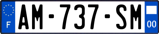 AM-737-SM