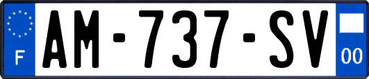 AM-737-SV