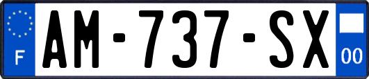 AM-737-SX