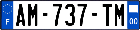 AM-737-TM