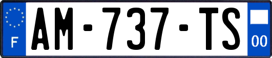 AM-737-TS