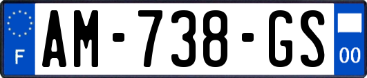 AM-738-GS