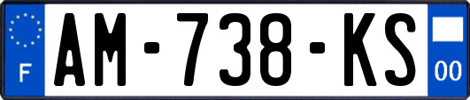 AM-738-KS