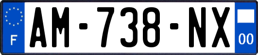 AM-738-NX