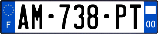 AM-738-PT
