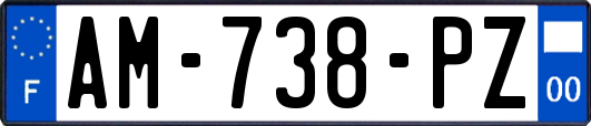 AM-738-PZ