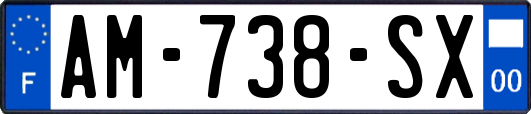 AM-738-SX