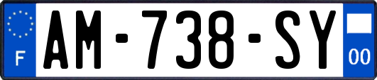 AM-738-SY