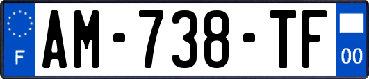 AM-738-TF