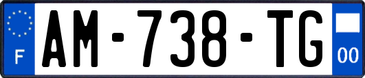 AM-738-TG