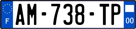 AM-738-TP
