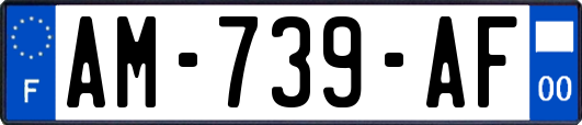 AM-739-AF