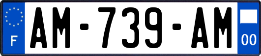 AM-739-AM