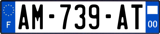 AM-739-AT