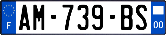 AM-739-BS