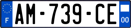 AM-739-CE