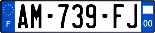 AM-739-FJ