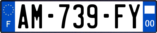 AM-739-FY