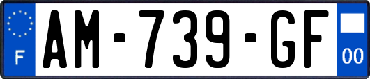 AM-739-GF