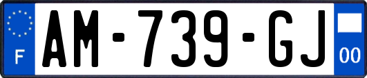 AM-739-GJ
