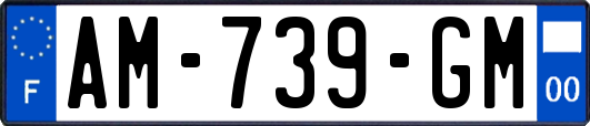 AM-739-GM