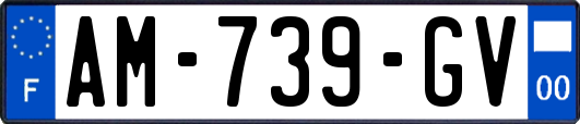 AM-739-GV