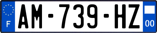 AM-739-HZ