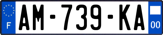 AM-739-KA