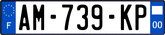 AM-739-KP