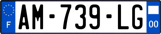 AM-739-LG