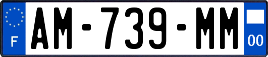 AM-739-MM