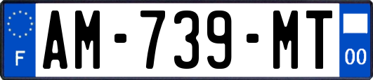 AM-739-MT