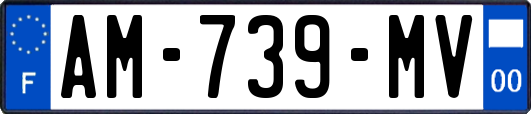 AM-739-MV