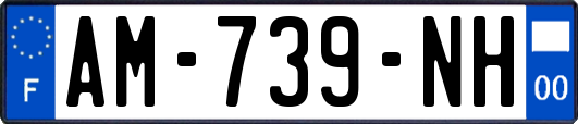 AM-739-NH