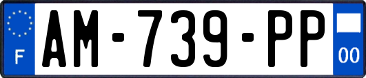 AM-739-PP