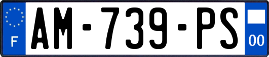 AM-739-PS