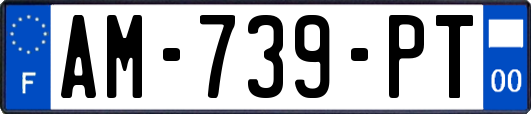 AM-739-PT