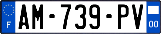 AM-739-PV